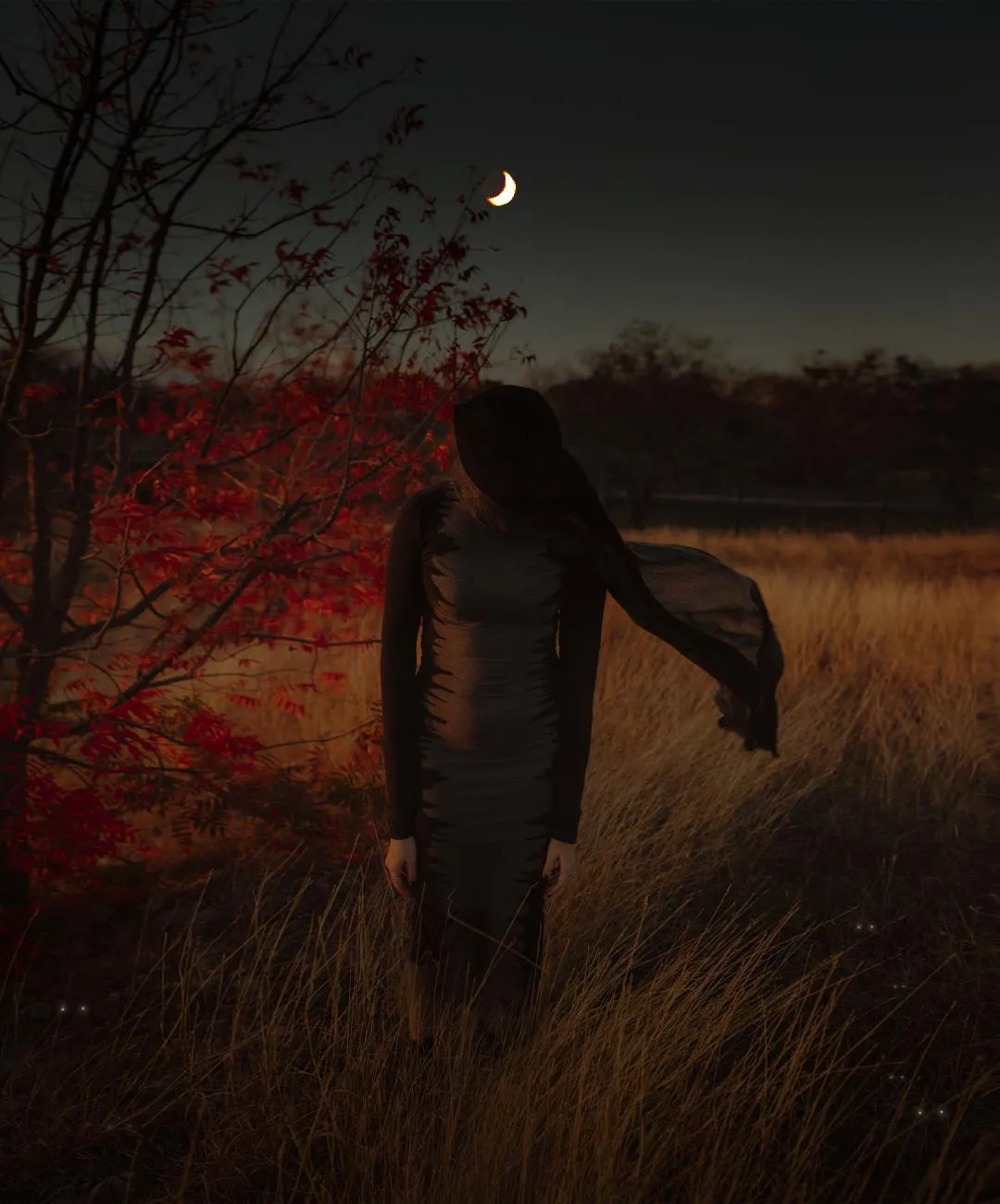 A dark field at dusk with a long-haired figure standing in tall grass beneath a moon.