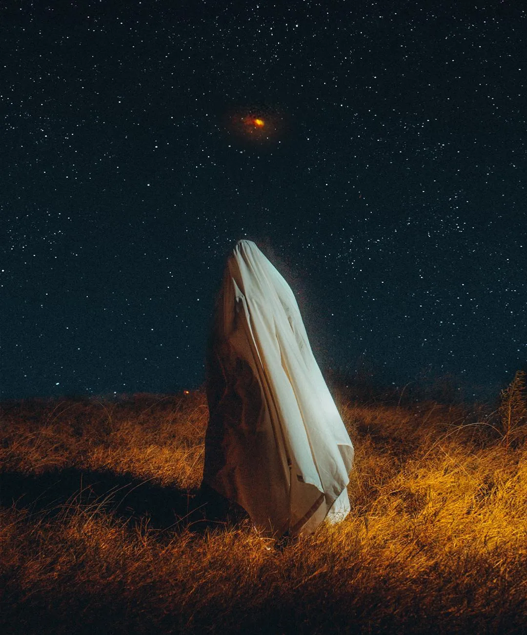 A night field of stars with a white cloth-covered form standing in dry grass.